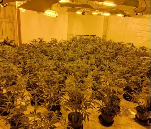 Police officer 'follows his nose' to bust Preston cannabis farm