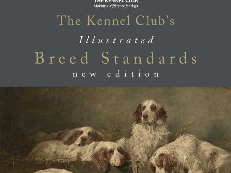 English kennel cheap club