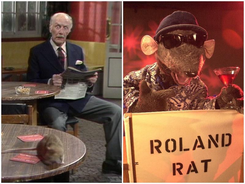 Is Basil the rat more famous than Roland Rat Antiques Roadshow